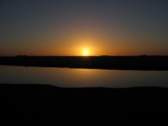 Sonnenuntergang an der Aller
